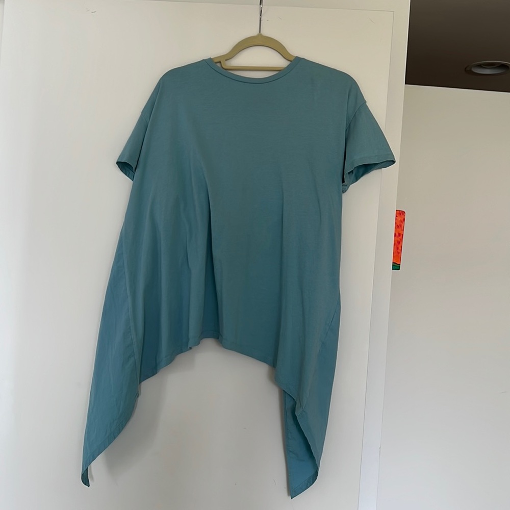 Zara backless t-shirt!!!